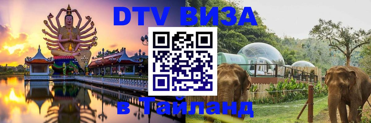 Сколько стоит DTV виза — актуальные цены, оформление даже без документов - Сан-Хосе  08.12.2025 